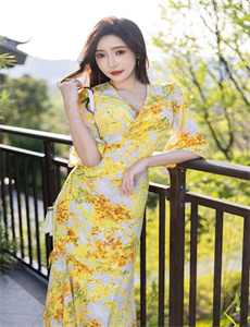 桐乡车震