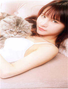 元龙樱花