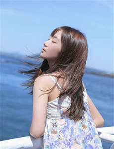 愿妻如蔷薇