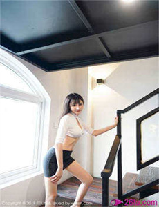 猫女的诅咒